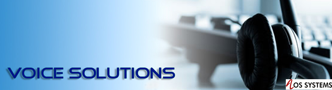 voice-solutions-banner-sm
